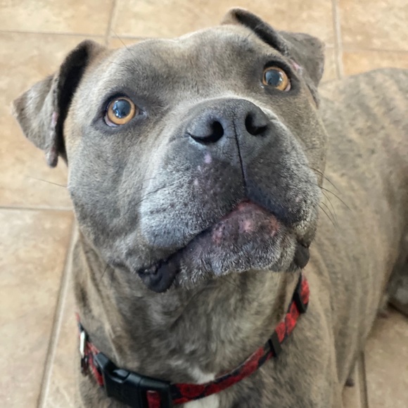 Profile Picture of Veronica Tabarez (@vero94565) on Poshmark