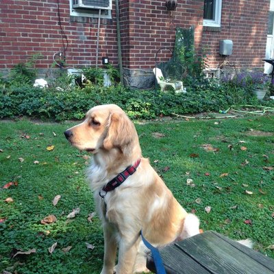 Profile Picture of @skelley_joe (@skelley_joe) on Twitter