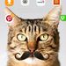 Profile Picture of Nancy halbrook.Cloin (@nancycloin) on Pinterest