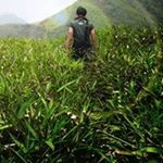 Profile Picture of Yau Sai Kwong (@byron.yau) on Instagram