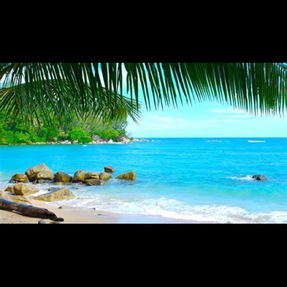 Profile Picture of Ann Campbell (@sunshine36845) on Poshmark