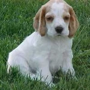 Profile Picture of Lisa Turan (@226167351) on Myspace