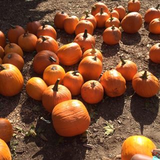 Profile Picture of Haleemah Ahmad (@Haleemah-Ahmad) on Facebook