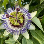 Profile Picture of Owen Martin (@mowen7679) on Flickr