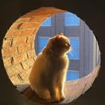 Profile Picture of Daniel Jefferis (@Daniel-Jefferis) on Facebook