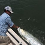 Profile Picture of Bobby Grady (@bobby_grady) on Instagram