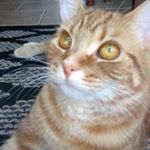 Profile Picture of Dawson Darwin (@dawson_anderson1127) on Instagram