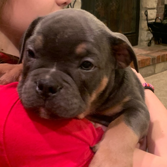 Profile Picture of Reese Gansner (@reese_gansner) on Poshmark