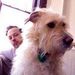 Profile Picture of Adam Zastrow (@adamczastrow) on Pinterest