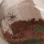 Profile Picture of Justin Hönicke (@justinhonicke) on Instagram