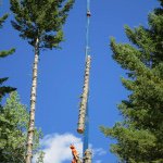 Profile Picture of Corey Felton (@feltoncorey) on Instagram