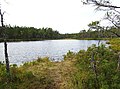 Profile Picture of Tornbergssjönon Wikipedia