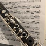 Profile Picture of Nicholas Kim (@nkimclarinet) on Instagram