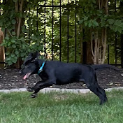 Profile Picture of Gloria Barron (@gloriabarron2465) on Youtube