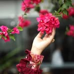 Profile Picture of Lora Binte Taj (@Lora-Binte-Taj) on Facebook