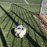 Profile Picture of Joseph Ferrante (@joseph_frt83) on Instagram