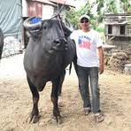 Profile Picture of Michael Duque (@michael.duque.234944) on Facebook