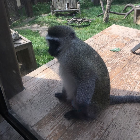 Profile Picture of Shannon Kreutzer (@jinxi515) on Poshmark