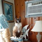 Caroline Goode - Facebook Profile Picture of Caroline Goode (@Caroline-Goode) on Facebook