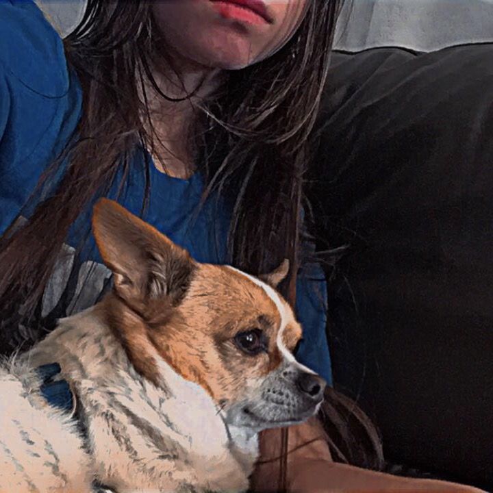 Profile Picture of Amelia Hogan (@ameliahogan09) on Tiktok
