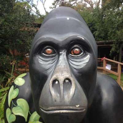 Profile Picture of Matt Everson (@MattEvers10) on Twitter