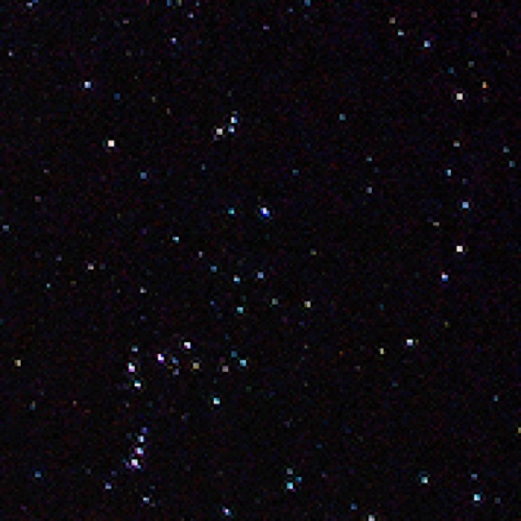 Profile Picture of Erin Nittinger (@erinnitttinger) on Poshmark