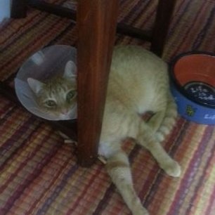 Profile Picture of Krystal Walker (@krystal422) on Twitter