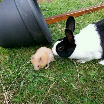 Profile Picture of Jade Leo Reynolds (@jadereynolds651) on Twitter