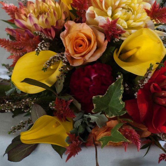 Profile Picture of Kelly Fillion (@kellybuggie) on Poshmark