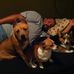 Profile Picture of Stephanie Simko (@stephanie.simko.169) on Facebook