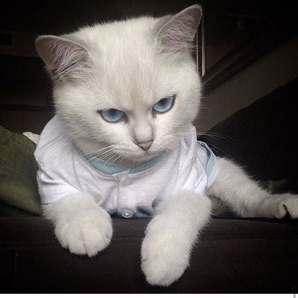 Profile Picture of Viktoria Hlushko (@viktoriahlushko) on Poshmark