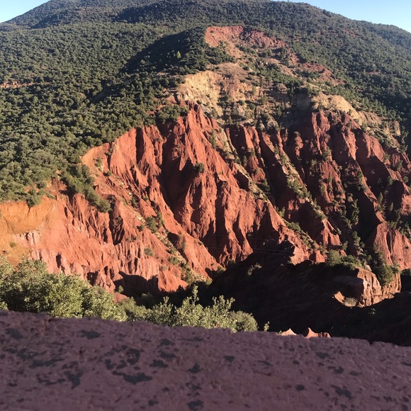 Profile Picture of Lynn Croneberger (@lmc12501) on Poshmark