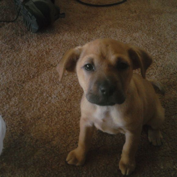 Profile Picture of Kim Isaacs (@kjisaacs2002) on Poshmark