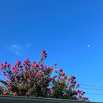 Profile Picture of Sarah Baiza (@baizasarah) on Instagram