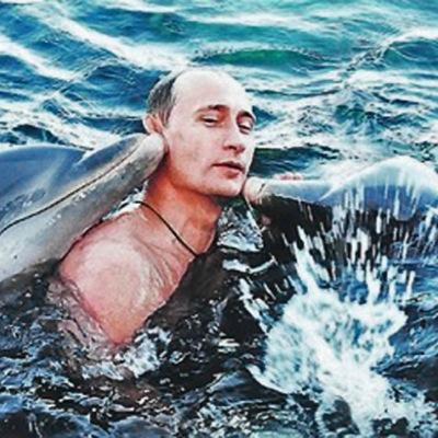 Profile Picture of David Impastato (@ImpastatoDavid) on Twitter