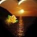 Profile Picture of Adamo Dei Desideri Unico (@adamodeidesideri.unico) on Facebook