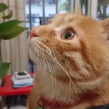 Profile Picture of EdwardHuang (@EdwardHuang31) on Twitter