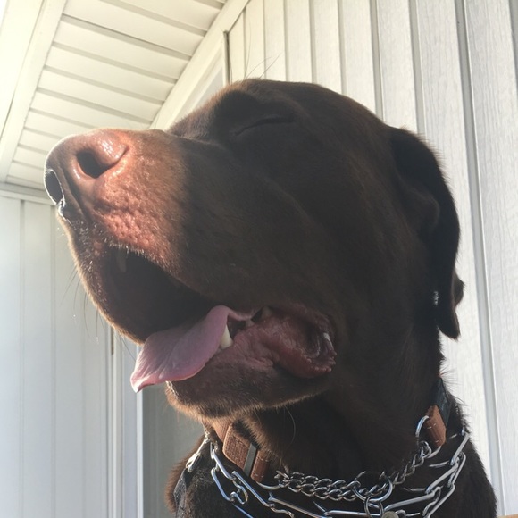 Profile Picture of Abby Akselrod (@abbyaks) on Poshmark