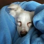 Profile Picture of Ian Brandt (@brandt.ian) on Instagram