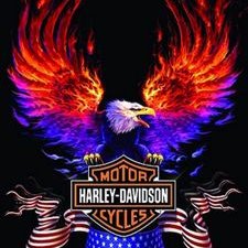 Profile Picture of Trevor Root (@visiongaming07) on Twitter