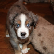 Profile Picture of Brian Stocklin (@brianstocklin5758) on Youtube