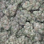 Profile Picture of james kalus (@james_kalus) on Instagram