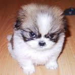 Lummy van der Borgh - Facebook Profile Picture of Lummy van der Borgh (@lummyvdborgh) on Facebook