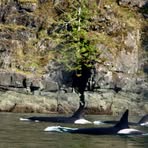 Profile Picture of Howard Henning (@howard.henning.3) on Facebook