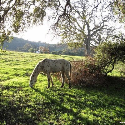 Profile Picture of Robin Richman (@robinr123) on Twitter