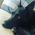 Profile Picture of Alex Gerken (@gerken_alex) on Instagram