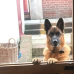 Profile Picture of Matt Clair (@matt.clair.752) on Facebook