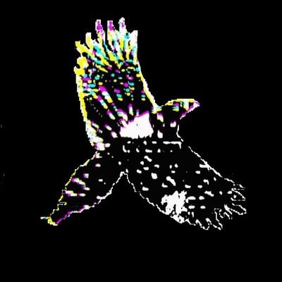 Profile Picture of Colin Cummings (@Colinography) on Twitter