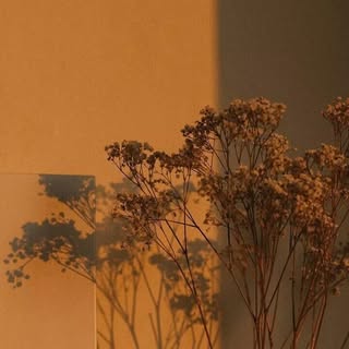 Profile Picture of jessicahala_ (@jessicahala_) on Instagram