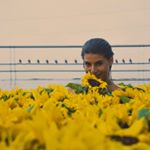 Profile Picture of Amal Saber (@amalsabermusic) on Instagram